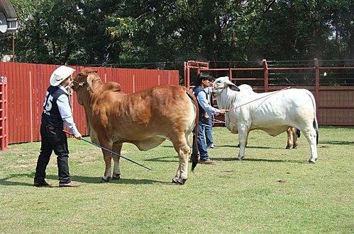 2011-11-19 23-44-26 - DSCF0544 (Medium)