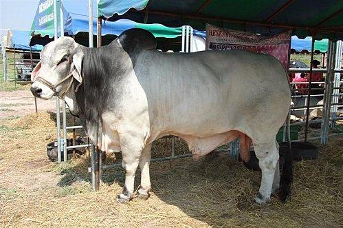 2011-11-20 00-00-36 - DSCF0554 (Medium)