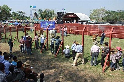 2011-11-19 23-50-10 - DSCF0547 (Medium)