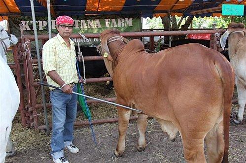 2011-11-19 23-41-28 - DSCF0537 (Medium)