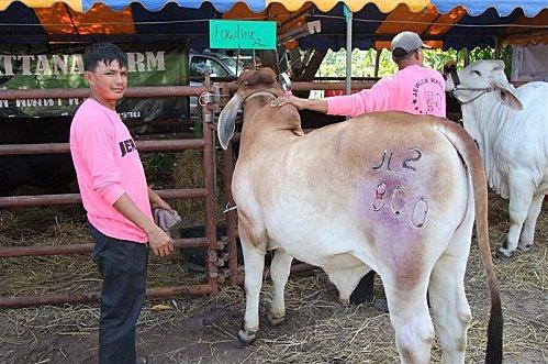 2011-11-19 23-41-15 - DSCF0536 (Medium)