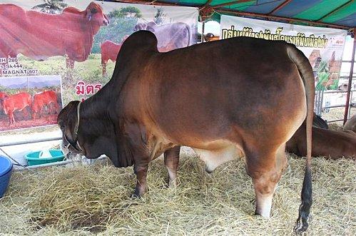 2011-11-19 23-42-08 - DSCF0539 (Medium)