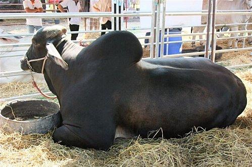 2011-11-20 00-00-05 - DSCF0553 (Medium)