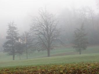 111123 Il ny a rien à voir.jpg