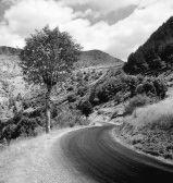 916206-road-through-mountains-the-cevennes-france-europe