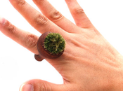 bague végétale vivante!