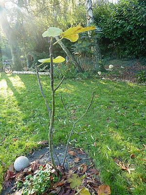 Ils nous avaient promis de la pluie et puisque c'est le b...