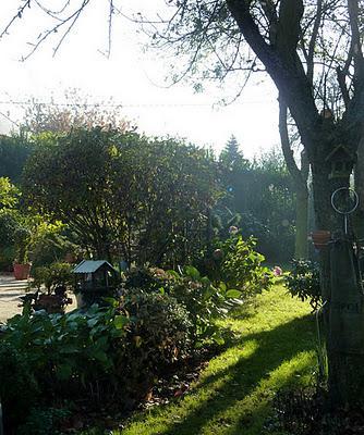 Ils nous avaient promis de la pluie et puisque c'est le b...