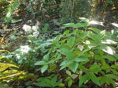 Ils nous avaient promis de la pluie et puisque c'est le b...