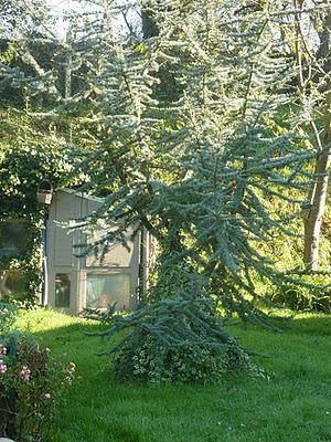 Ils nous avaient promis de la pluie et puisque c'est le b...