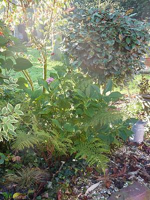 Ils nous avaient promis de la pluie et puisque c'est le b...