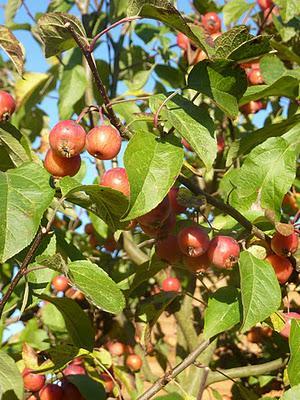 Ils nous avaient promis de la pluie et puisque c'est le b...