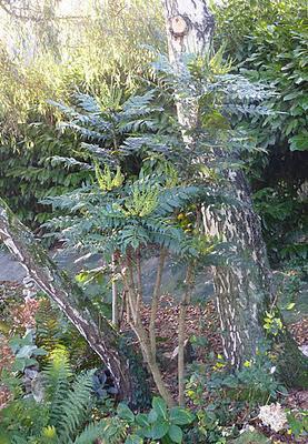 Ils nous avaient promis de la pluie et puisque c'est le b...