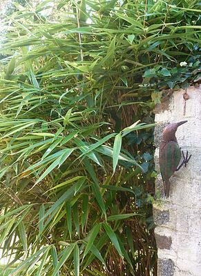 Ils nous avaient promis de la pluie et puisque c'est le b...