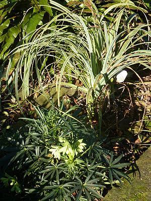 Ils nous avaient promis de la pluie et puisque c'est le b...