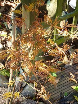 Ils nous avaient promis de la pluie et puisque c'est le b...