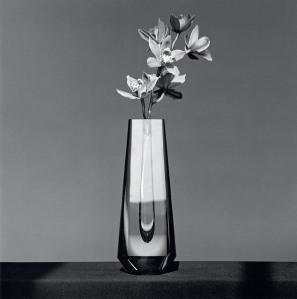 Exposition : Robert Mapplethorpe curated by Sofia Coppola