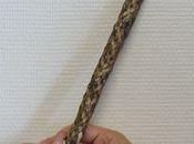 Comment attraper sirène