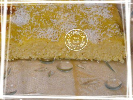 extra moelleux à la noix de coco 2