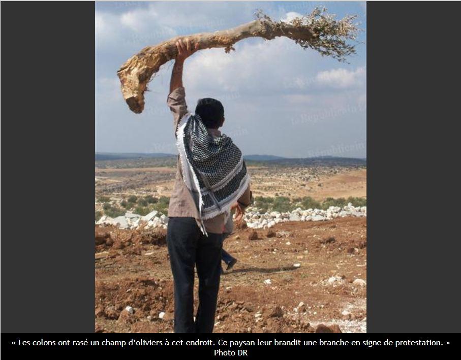 Le passionnant périple de deux jeunes en Palestine