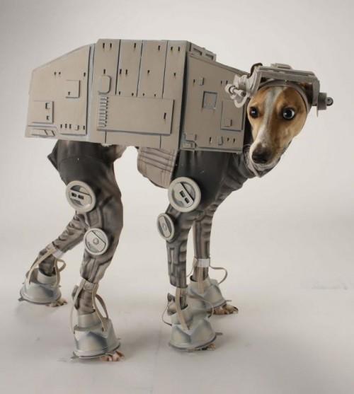 photo humour insolite chien déguisement at-at starwars