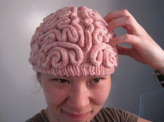 photo humour insolite bonnet cerveau