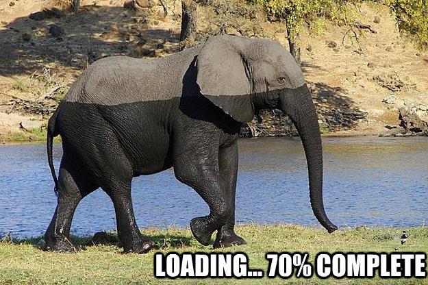 photo humour insolite loading éléphant