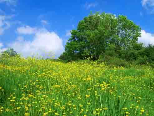 pacte-de-developpement-durable-seine-maritime-departement