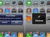 BadgeClear, nettoyeur springboard