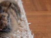 timbres personnalisés Poste