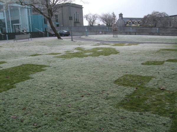 spaceinvaders pelouse jardin jardinage gnd geek Un jardin relookĂŠ Ă  la space invaders