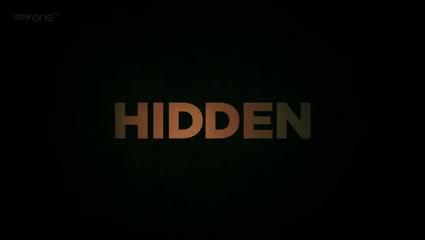 hiddenb.jpg