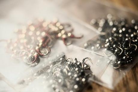 020410_hunnerd_an_fiddy_zebras COPI BROOKBEAR VOJTA