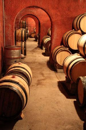 Domaine de Montcalmès, Frédéric Pourtalié, Vigneron en Languedoc