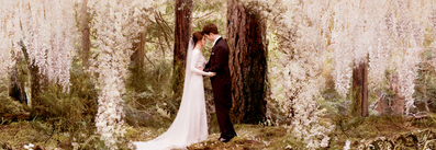 Le DVD/Blu-Ray de Breaking Dawn (USA) Le DVD/Blu-Ray de Breaking Dawn (USA)