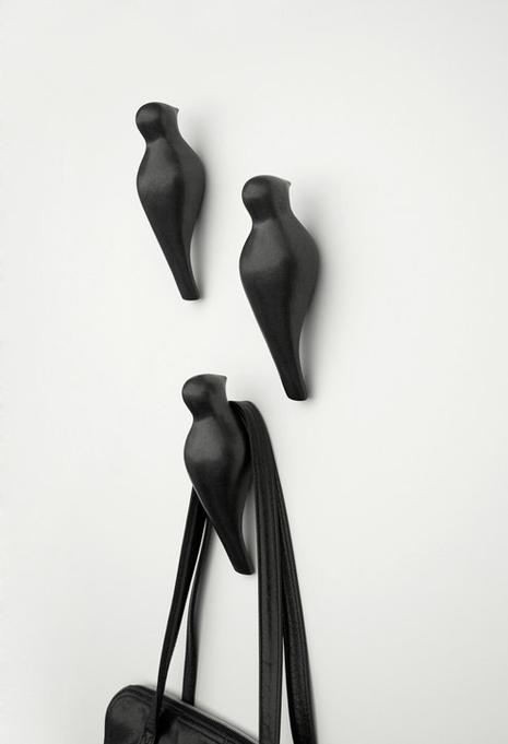 En bref : la nature reprend ses droits (chez nous)