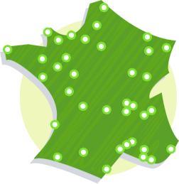 Votre maire sera-t-il éco-responsable ? Votre maire sera-t-il éco-responsable ?