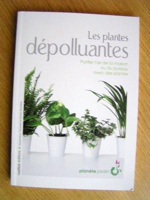Plantes dépolluantes
