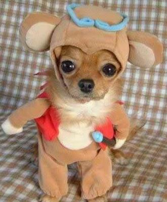 Capture d’écran 2011-11-25 à 15.32.30