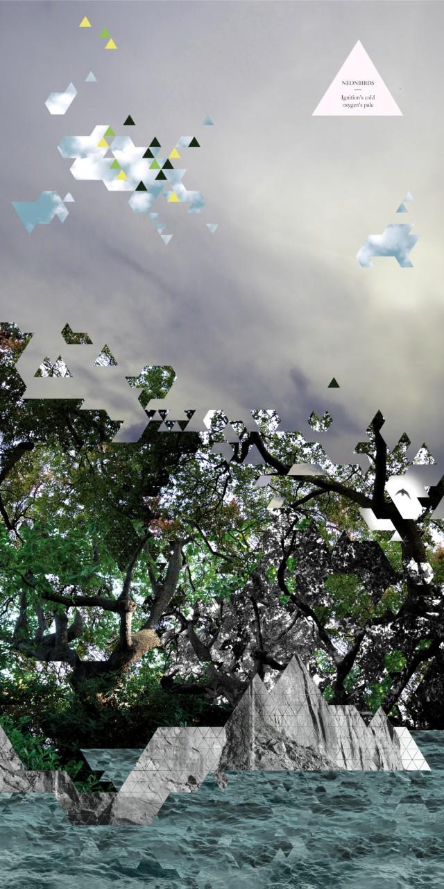 Vidéo : Neonbirds – Substitutes