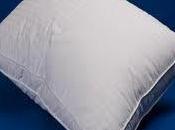 chronique d'un futur proche