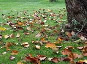 "survival gardening" bilan saison