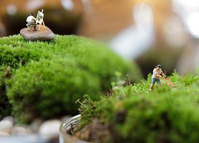 Des miniatures dans la nature