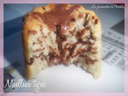 moelleux_tigr_