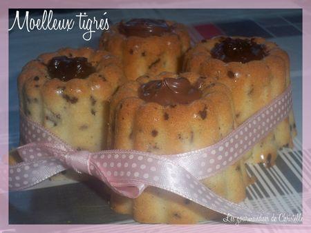 moelleux_tigr_s