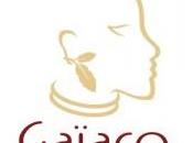 Installation billetterie pour votre site Découvrez cours cuisine Gaiaco