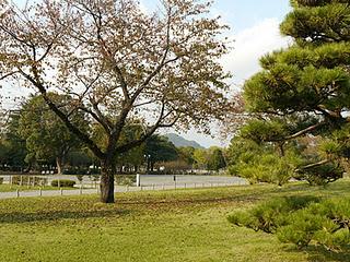 Lieux de thé au nord de la gare de Shizuoka