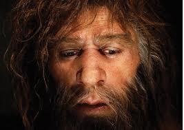 Néandertal condamné par le changement climatique ?