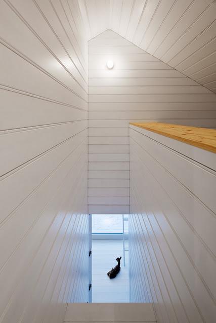 Une maison dans la forêt