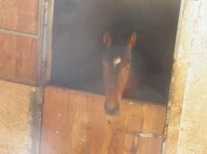 Krunch nouveau centre